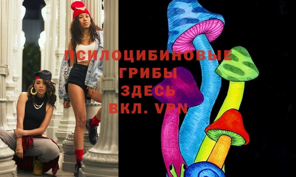jwh Абаза