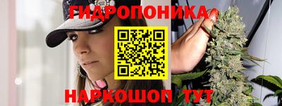 прущая мука Кудрово