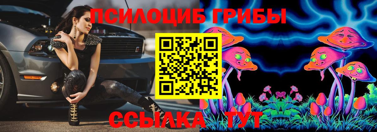 Курск  Псилоцибиновые грибы мухоморы  Вход с VPN 