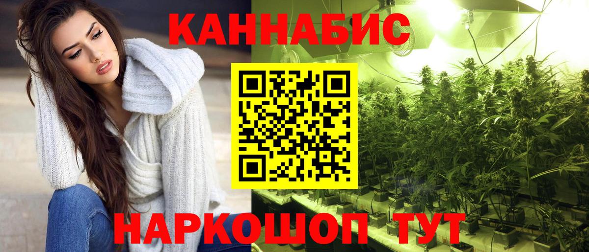 Шишки марихуана конопля  Вход с VPN  МАРИХУАНА White Widow  Курск  Марихуана AK-47 